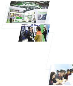 在進博會上全面展示新技術新產(chǎn)品 跨國企業(yè)鉚足勁拓展中國市場 會議及展覽服務